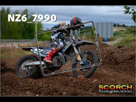 Experts-179