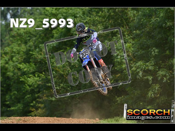 Experts-079