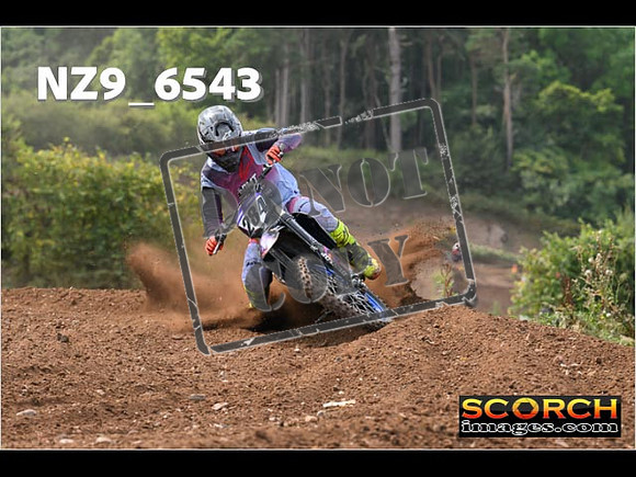 Experts-252