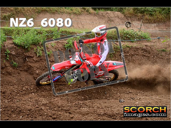 Inters Green-219