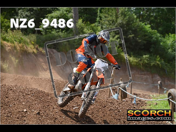 Experts-250