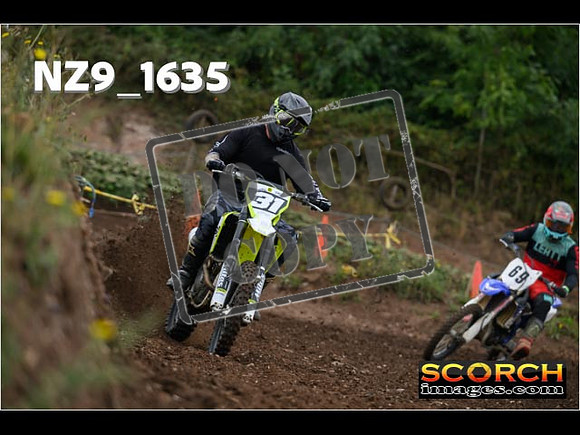 IntersGreenOrange-041