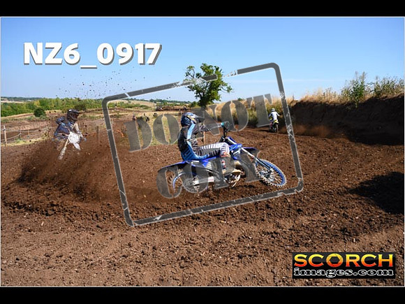 Experts-076