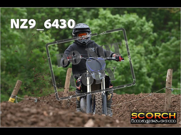 Experts-242