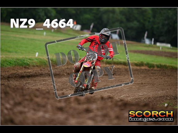 Experts-145
