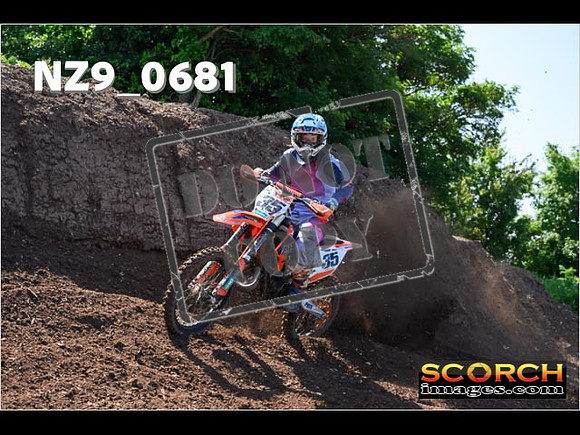 Experts-085