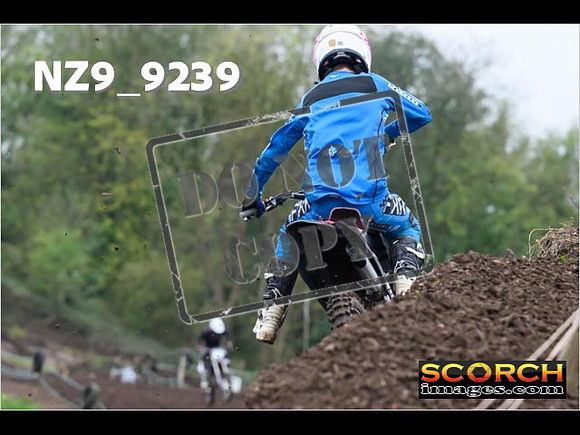 Experts-046