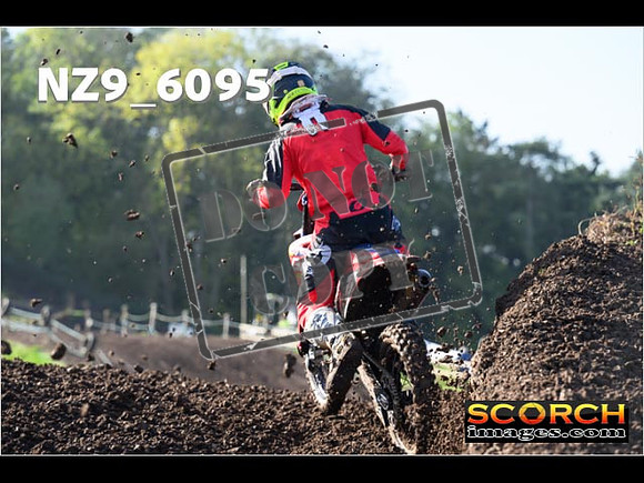 Experts-133
