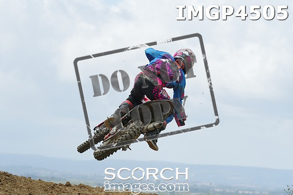 IMGP4505