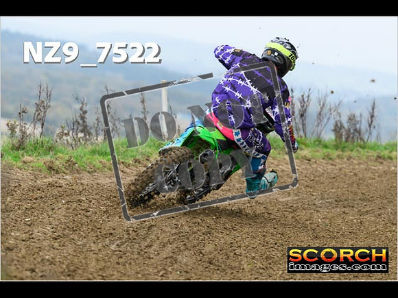 Experts-069