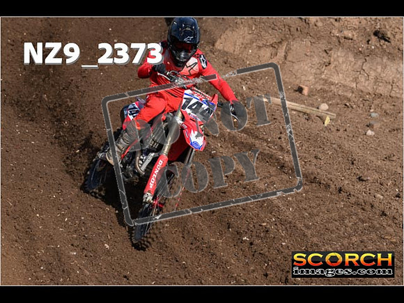 Experts-031