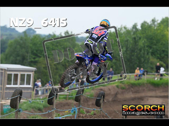 Experts-227
