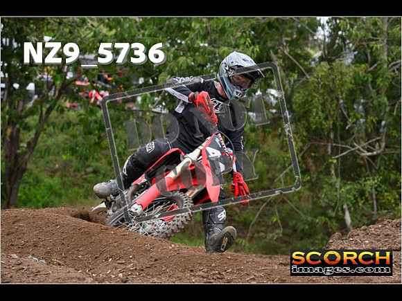 Experts-206