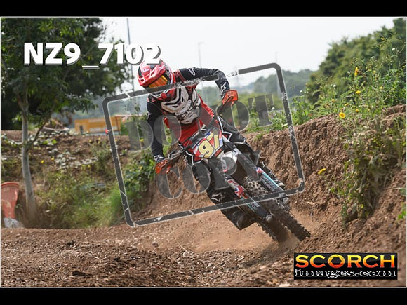 Experts-493