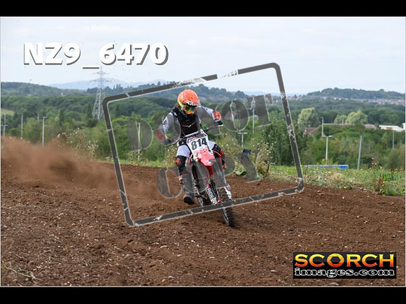 Experts-183