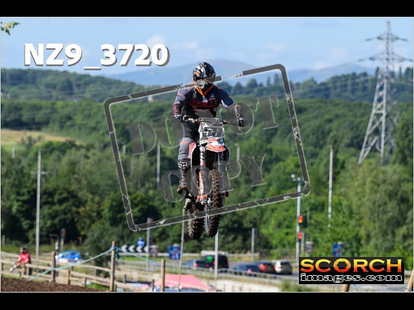 Experts-084