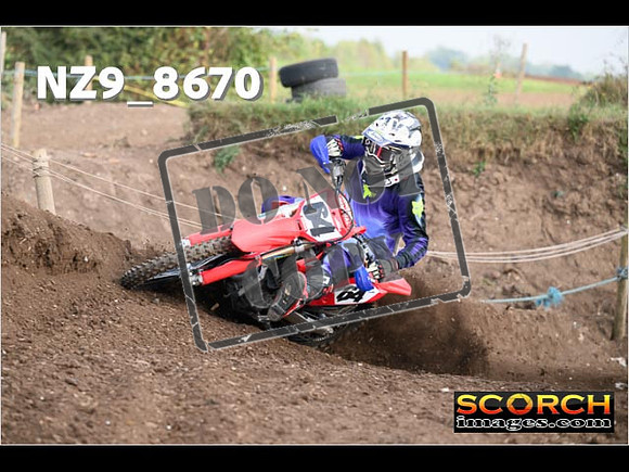 Experts-076
