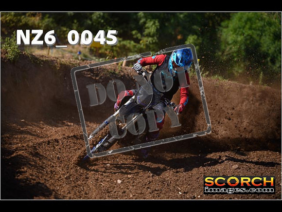 Experts-041