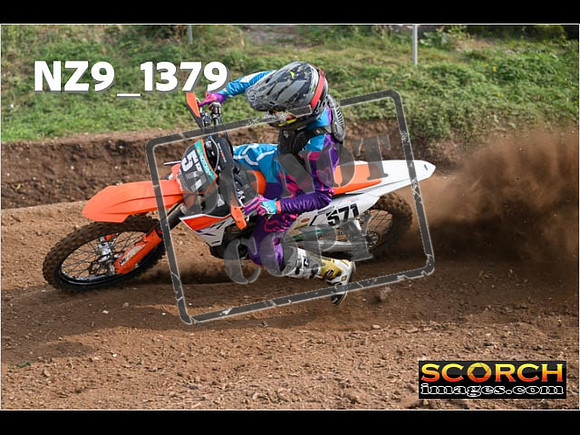 Experts-084