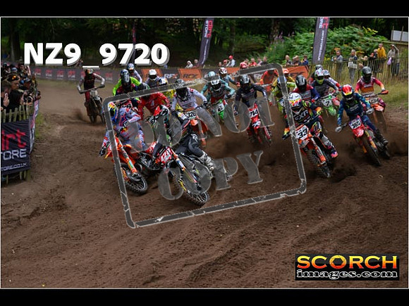MX1-275