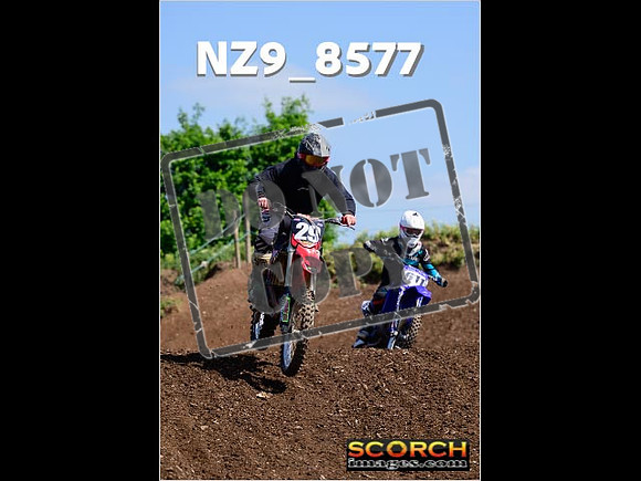 IntersGreenOrange-243