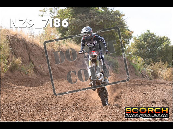 Experts-092