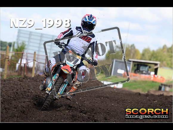 Experts-341