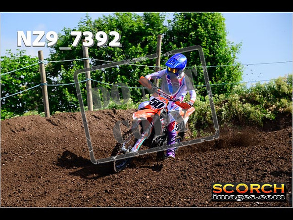 Experts-037