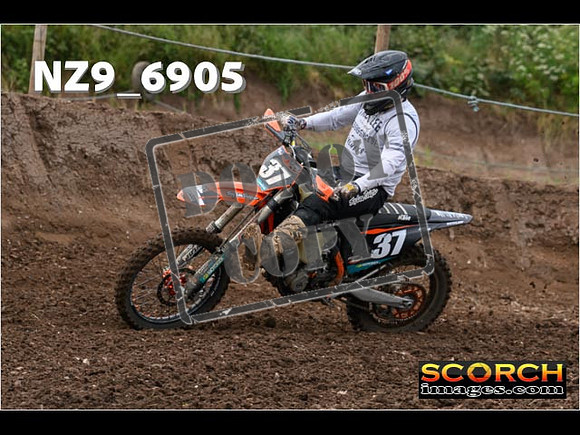 Experts-034