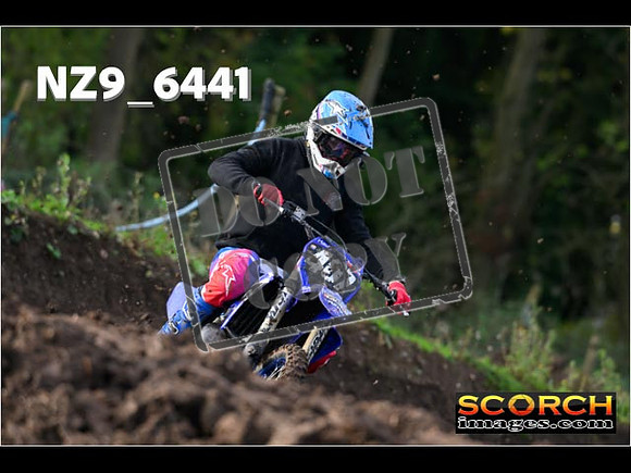 Experts-056