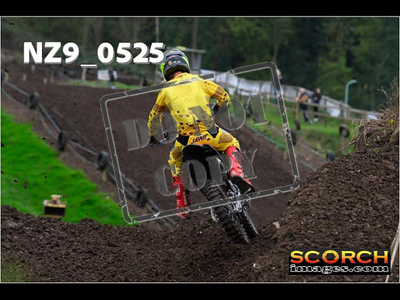 Experts-080
