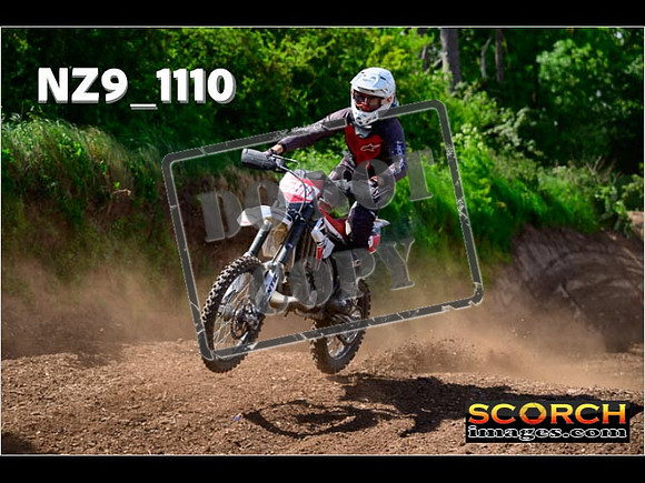 Experts-133
