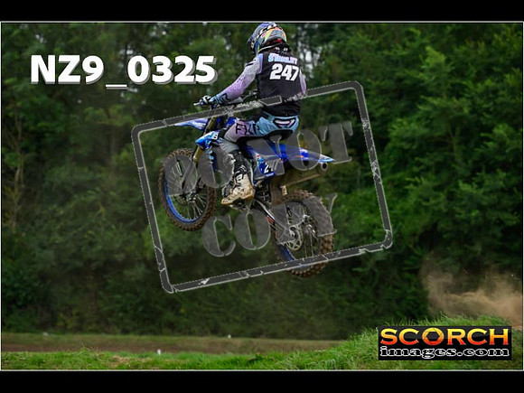 Novice-294