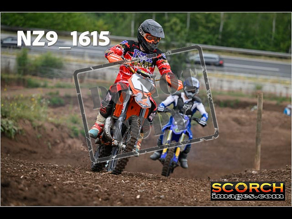 IntersGreenOrange-021