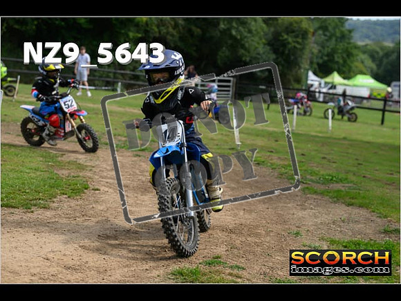 PeeWee Track-024