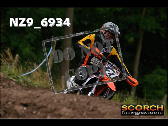 Experts-061