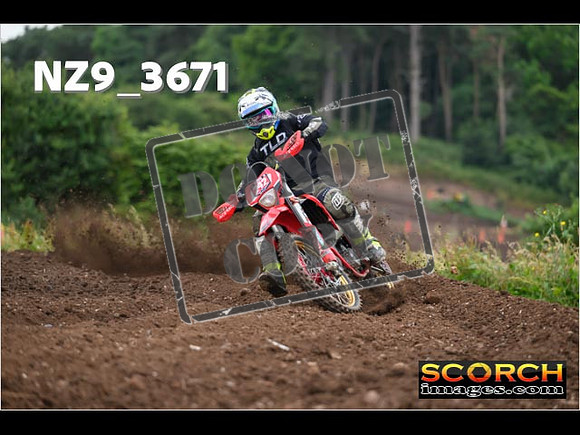 Experts-079