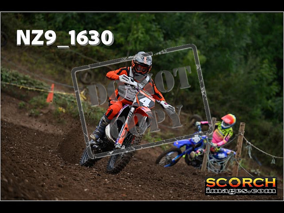 IntersGreenOrange-036