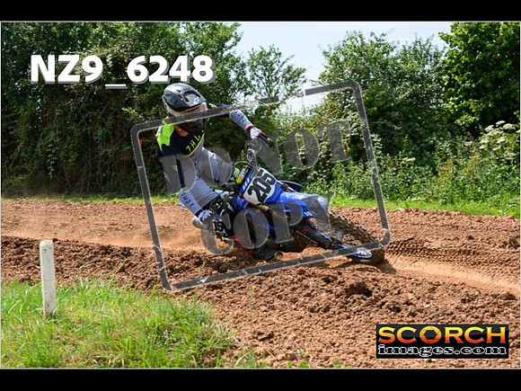 Experts-098