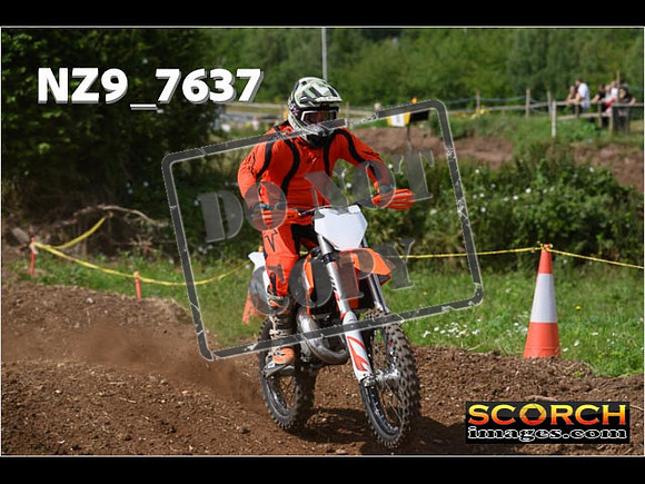 IntersGreenOrange-125