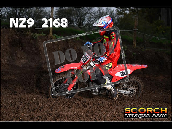 Experts-173