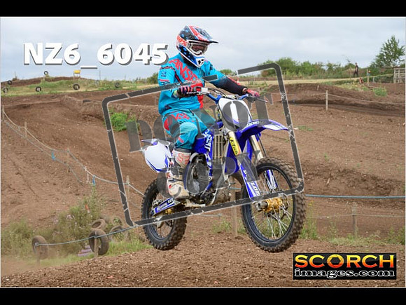 Inters Green-184