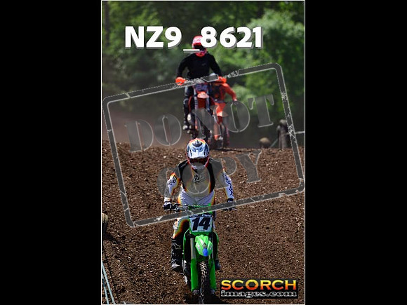 IntersGreenOrange-287