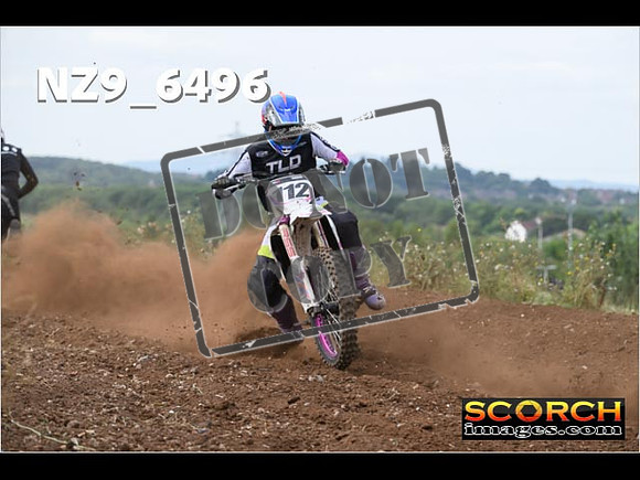 Experts-207
