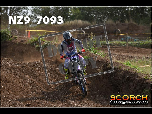 Experts-484