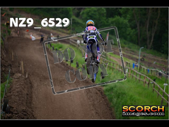 Experts-336