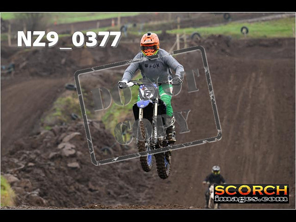 IntersGreenOrange-090