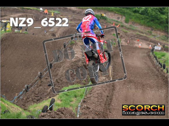 Experts-329
