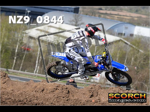 Experts-029