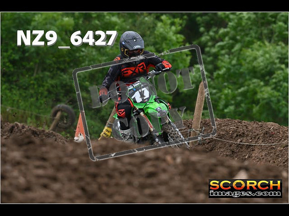 Experts-239